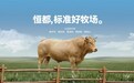 半成品牛肉制品哪个牌子好？2026年从源头牧场到餐桌的全维度参考