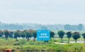 好水养好鱼 全链护品质 一条叉尾鮰鱼游出共富路