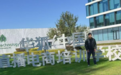 华狐美学家：一家实体企业与一支十年团队的强强联合