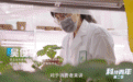 《科技青年》第二季丨青年护粮安