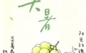 节气里的徽常好物｜大暑