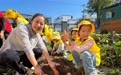 黄山市徽州区：红薯乐翻天，亲子趣秋收——徽州区丰乐幼儿园大班组挖红薯实践活动
