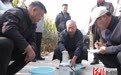 高碑店市夏玉米亩产量创黄淮海北缘区域单产新高
