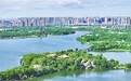 江豚逐浪、候鸟赴约！看南昌如何守护国际湿地城市生态底色