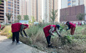 宿州市埇桥区南关街道：荒地“变身”记—社区干群合力清理杂草垃圾，筑牢冬季防火“安全墙”