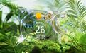#湖北天气预报# 湖北省天气预报节目视频2026年10月26日 ht
