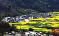 婺里看花 坠入芬芳仙境