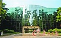 广东高分考生热捧岭南学院