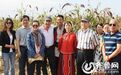 电视剧《红高粱》问鼎17届华鼎奖 周迅摘最佳女主角