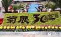 湖北宜昌：金秋菊韵 魅力夷陵（组图）
