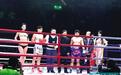 武林战歌2015中国武术散打国际争霸赛落幕