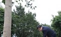 跟着习近平去植树