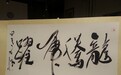 2015美丽童行公益盛典杭州公益慈善夜 默拍作品介绍（龙腾虎跃）
