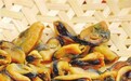 贻贝：大众口中的“海中鸡蛋”