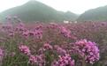 浙江云和探路“全域景区化” 打造美丽中国的县域样板