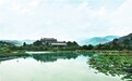龙人古琴 创新古法风靡全球