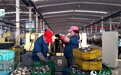 青铜峡大干一百天掀热潮 确保完成全年工作目标