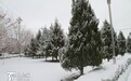 12月12日轮台县迎来今冬第一场雪