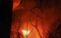 东城一老居民楼深夜起火3人身亡