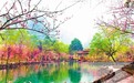 38元游桃花源 酉阳三八节特惠套餐上线