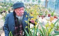 百岁艺术家诗书咏兰