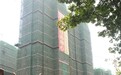 河南母子深夜被打昏抬走续：强拆负责人被刑拘(图)