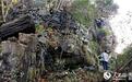三峡晓峰新发现一座神秘古兵寨