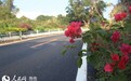海口火山自行车文化节期间部分路段交通管制
