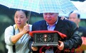拜山不用挤“请”先人回家
