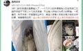 上海一高档小区20多只猫疑被毒杀，或涉嫌投放危险物质罪