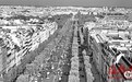 国外著名街道都种什么树