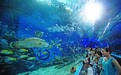 海昌“轻与重”：海洋公园运营商转型之路