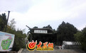 山东泰山景区虎山生态园咬死饲养员狮子被击毙