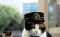 再见，“猫站长”小玉！
