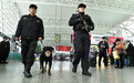 特警携警犬 机场内巡逻