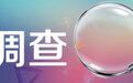 海口东寨港红树林旅游区荒了 当事企业：荒废原因是人为破坏
