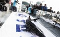长江全流域进入禁渔期
