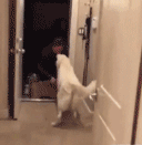 190_195gif 动态图 动图