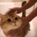 350_350gif 动态图 动图