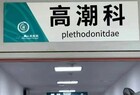 小红书上“种”出的“高潮针”竟是伪科学？