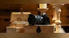 不仅仅是高像素，关于Lumix <em>S1R</em>你应该知道的事