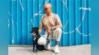 欧美宠物潮牌<em>Zee</em> Dog来啦！绝对会让你和你的爱犬变得更酷~