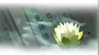 【大势至菩萨念佛圆通章·述记】<em>282</em> | 拜佛的正确姿势