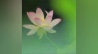 天眼讲故事<em>054</em>：看地狱向光明，知恶才能向善，谁说这是圈套？