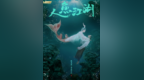 《<em>人鱼</em>江湖》MV海报双曝光，极致虐心<em>人鱼</em>恋