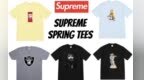 势头强过<em>TNF</em>联乘？Supreme 2019春夏限定短Tee全貌曝光！