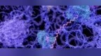 Science子刊 | 中山大学开发新型全转录组单碱基分辨率<em>m6A</em>检测方法
