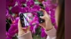 vivo <em>Z3i</em> 标准版再出新配色，网友：搭配前置2400万，这价格稳了