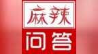 <em>A4L</em>和<em>CC</em>怎么选？35万买途昂还是汉兰达？| 麻辣问答