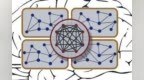 代码详解：用Python构建<em>RNN</em>模拟人脑